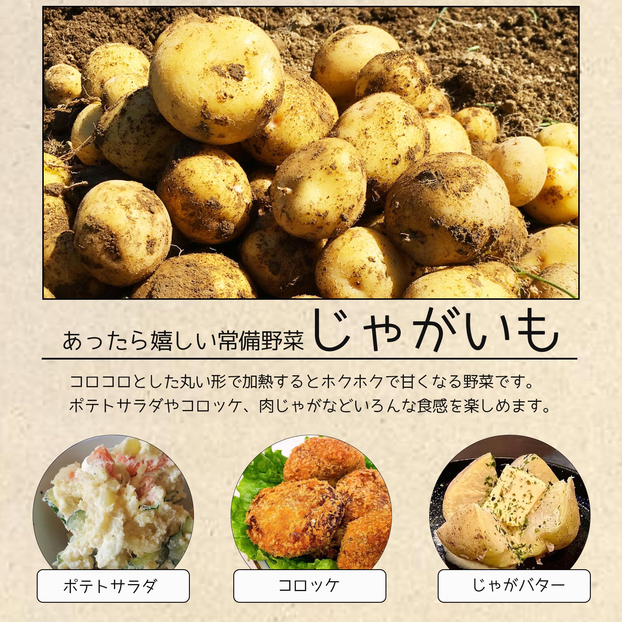 Amazon.co.jp: 野菜セット 【オリジナルティーバッグ付】 たまねぎ