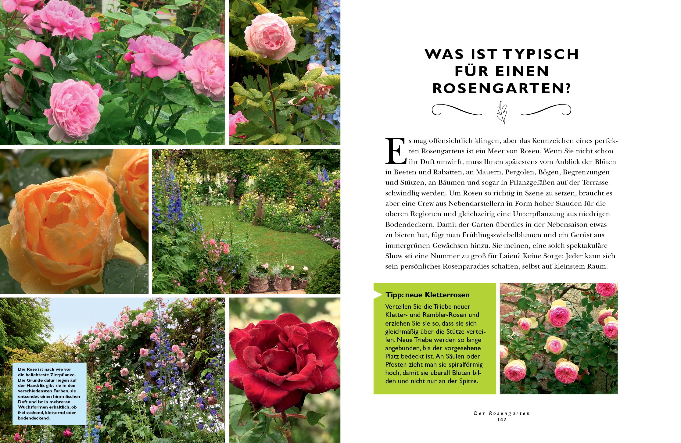 Gartenstile & Gestaltung: Individuelle Themengärten vom Cottage- bis zum Rosengarten: Individuelle Themengärten vom Cottage- bis zum Rosengarten. Mit Pflanzplänen