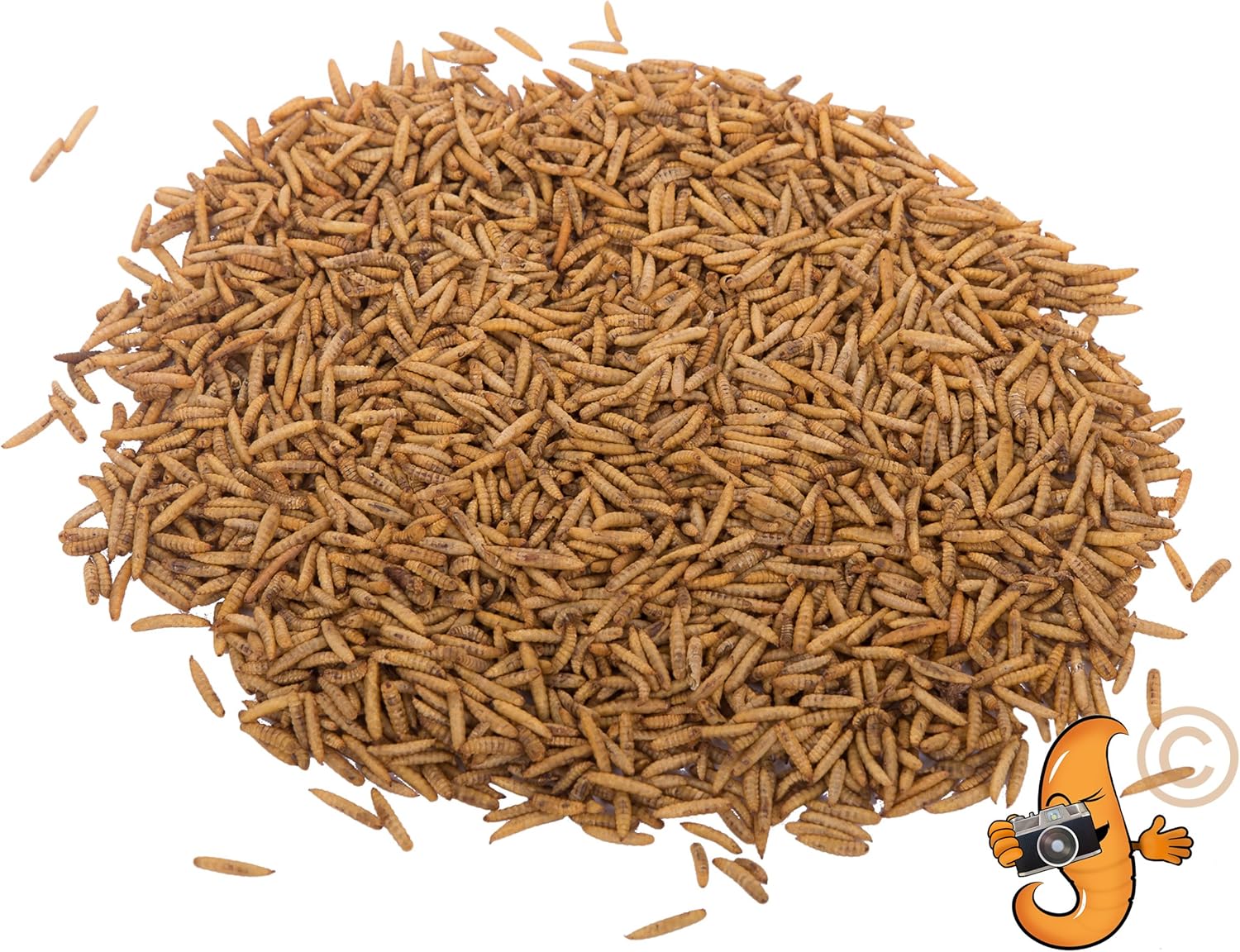 Chubby Dried Black Soldier Fly Larvae | 11 lbs | Non-GMO High-Protein Insect Treat for Chickens, Ducks & Wild Birds – Calcium-Rich Chicken Feed