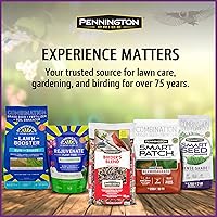 Vista 8 de Pennington - Songbird Nut & Fruit - Mezcla de semillas para pájaros silvestres, 10 libras