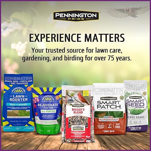 Miniatura 8 de Pennington - Songbird Nut & Fruit - Mezcla de semillas para pájaros silvestres, 10 libras