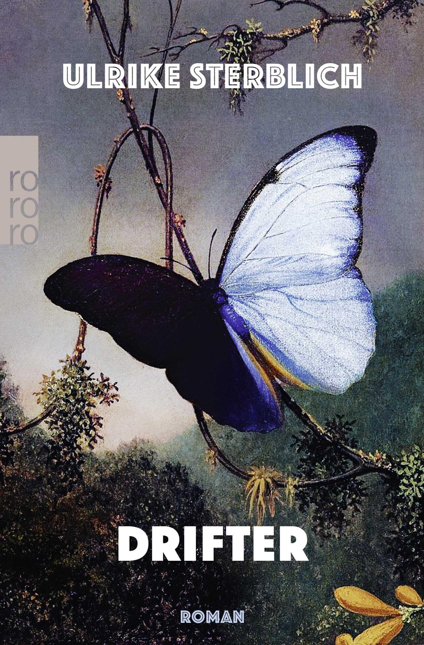Drifter: Roman | Shortlist Deutscher Buchpreis 2023