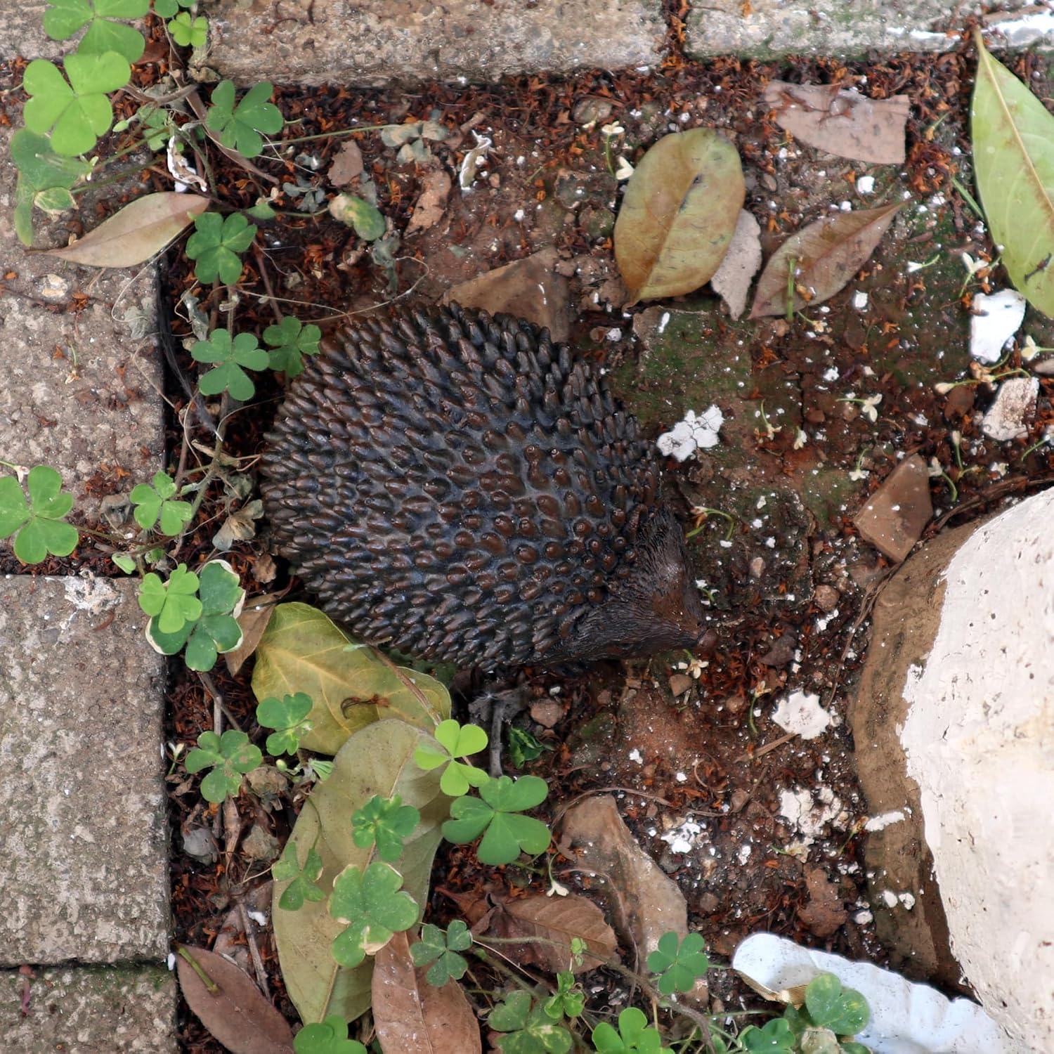 Hide a Spare Key Outdoor Hedgehog Waterproof Fake Rock Key Hider Holder Safe Secret Storage Lock Box For Outside Indoor Garden Ornament Decorative Faux Stone Geocache Containers
