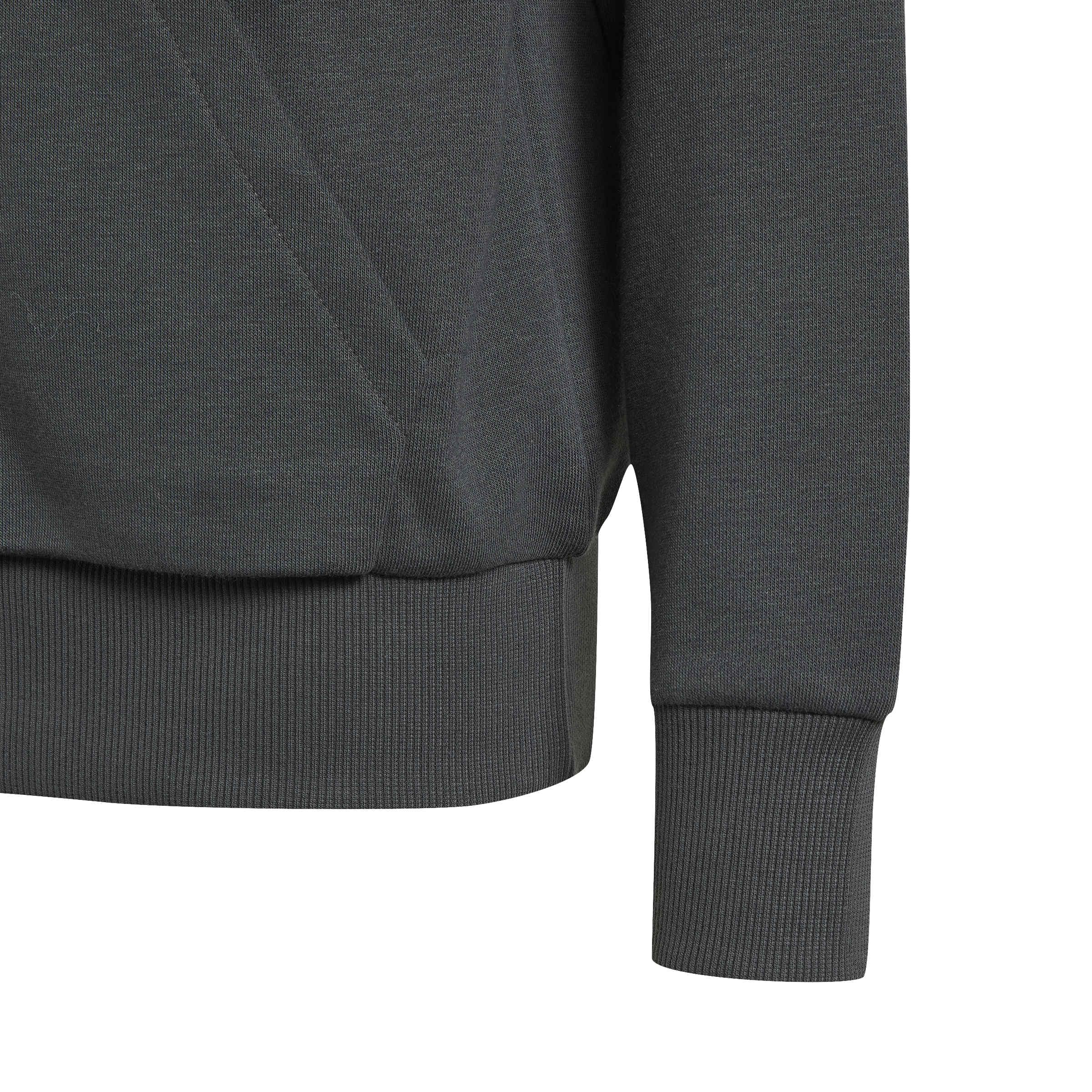 adidas Uniseks - dzieci Essentials Big Logo Hoodie Sweatshirt, grey six/black, 15-16 Years