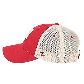 Zephyr mens Hat University Relaxed Cap, Purple, One Size US