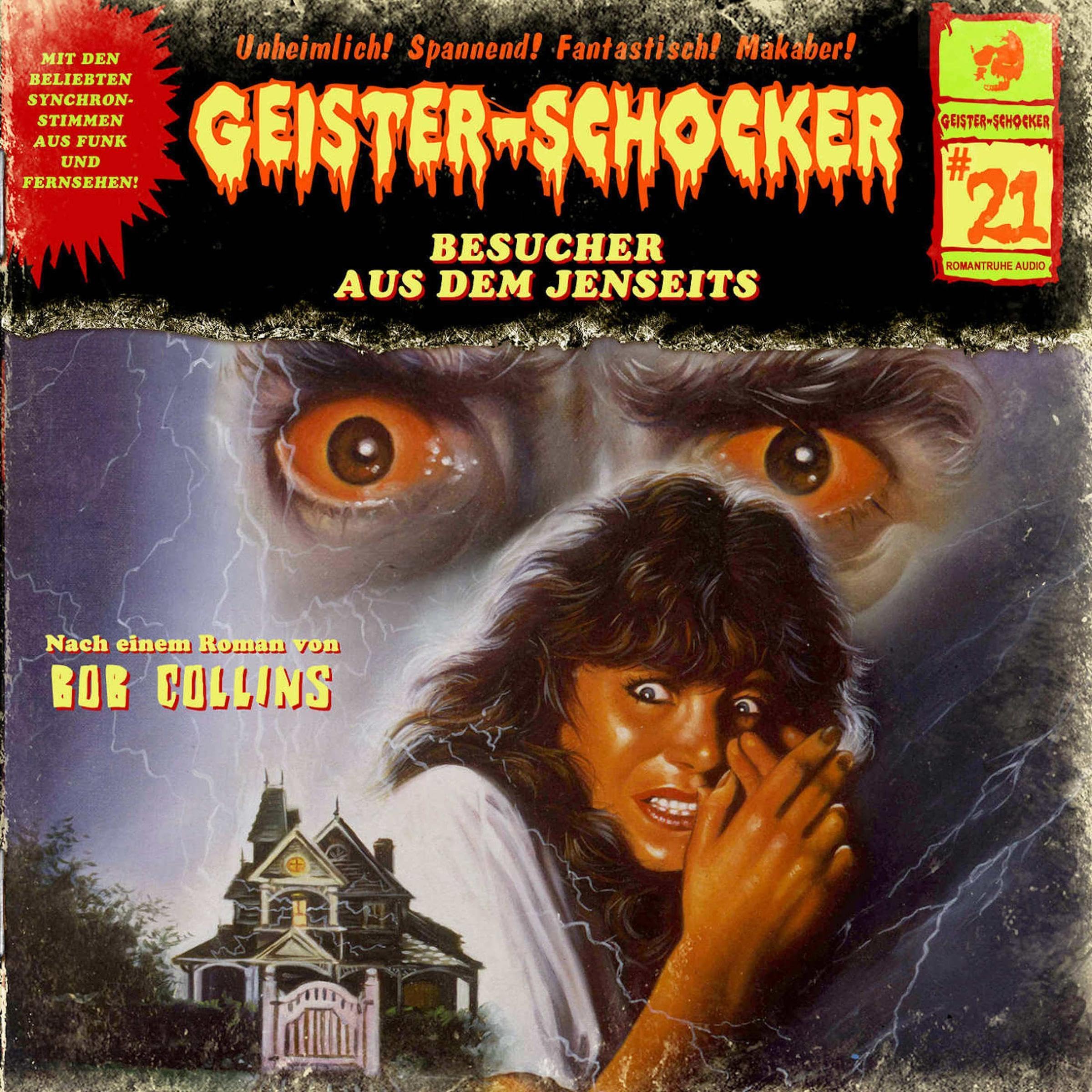 Cover art for Besuch aus dem Jenseits