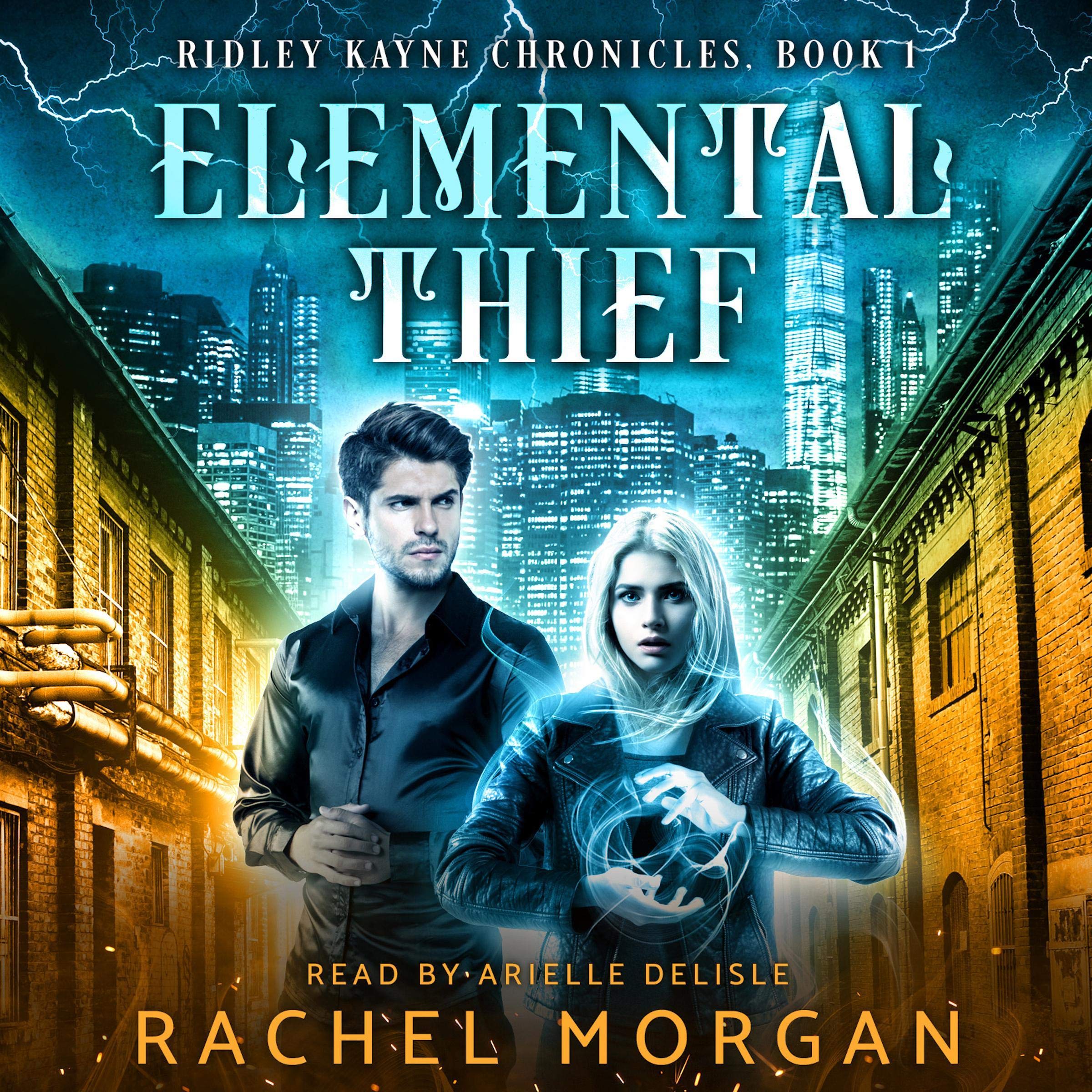 Cover art for Elemental Thief