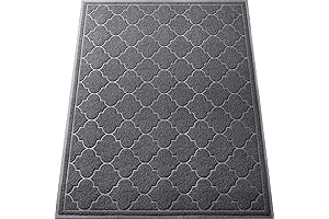 LuxStep Outdoor Doormat: An Expansive Solution for Outdoor Dirt and Debris