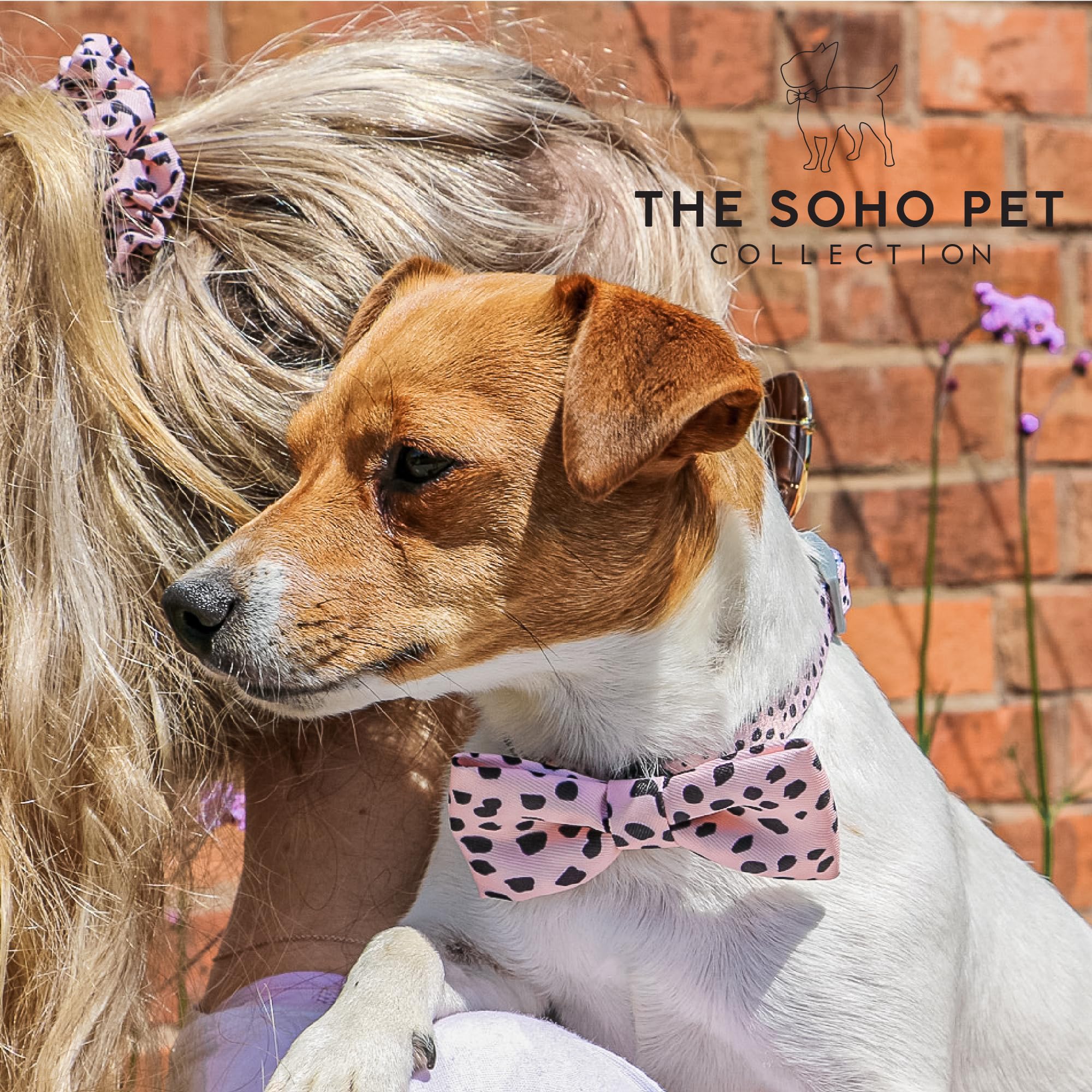 Ancol Soho Dog Collar in Dalmatian Pattern, 100% Recycled Fabric Comfortable Pet Accessory - Image 3