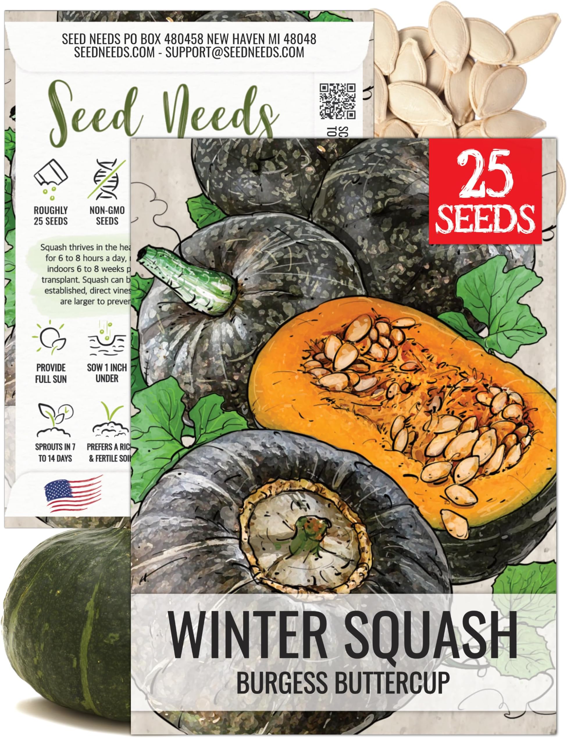 Seed Needs, Burgess Buttercup Winter Squash Seeds - 25 Heirloom Seeds for Planting Cucurbita Pepo - Non-GMO & Untreated to Plant a Home Grown Vegetable Garden (1 Pack)