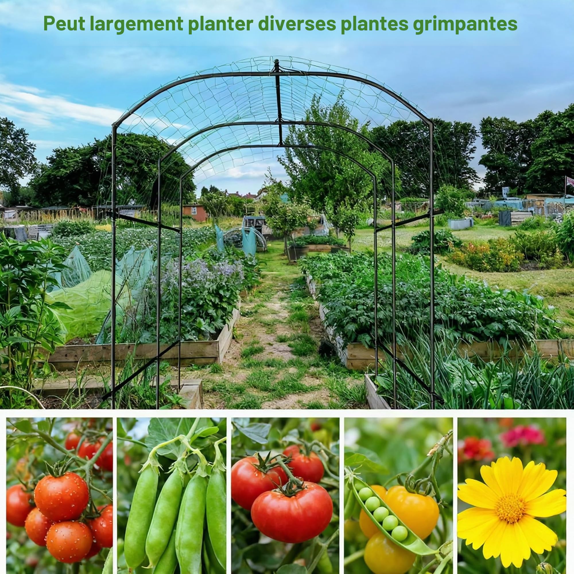 Support de treillis de jardin pour plantes grimpantes, support de concombre grimpant pour parterre surélevé, légumes avec filet, cadre de plantes en métal pour légumes, fleurs, fruits, 180 x