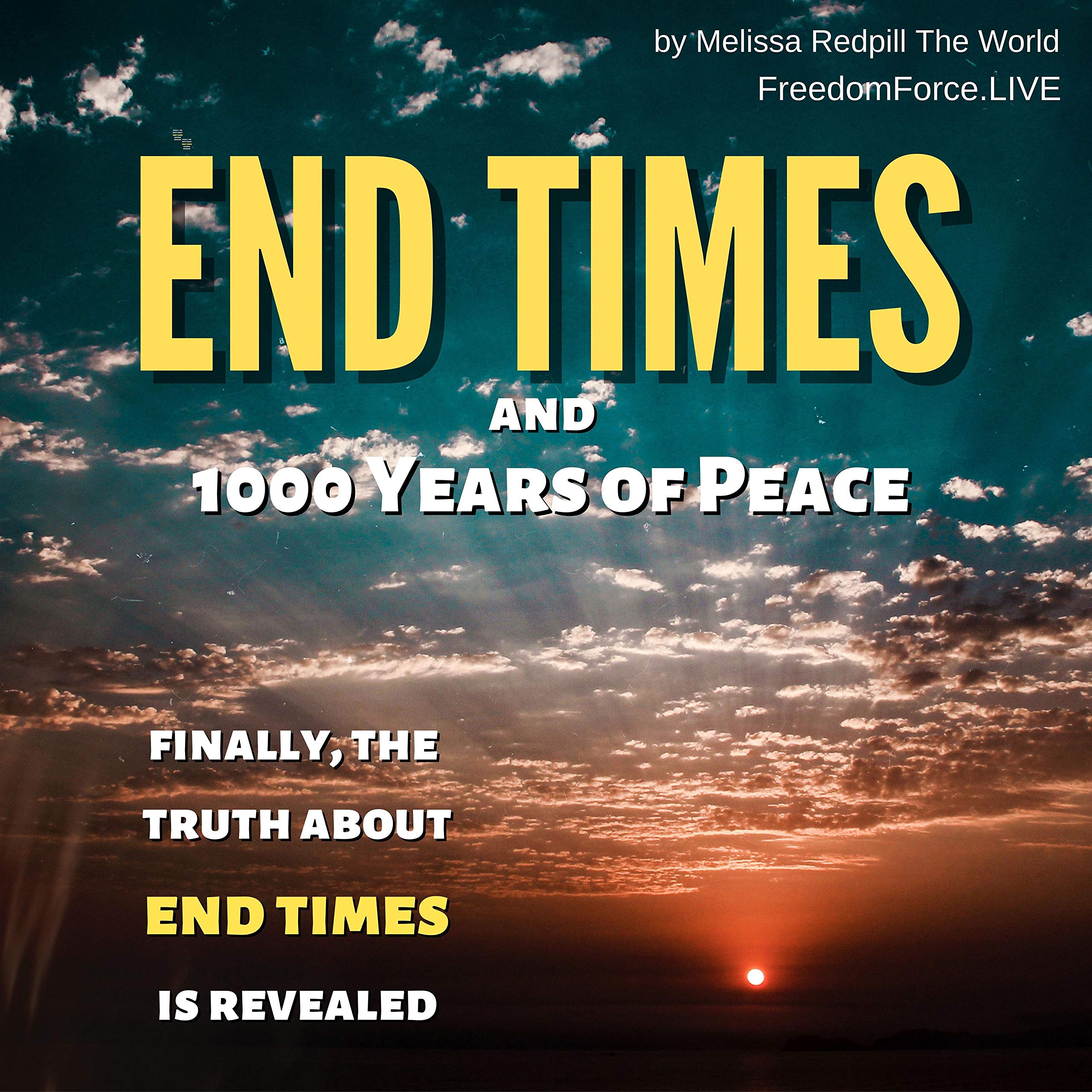 Cover art for End Times and 1000 Years of Peace