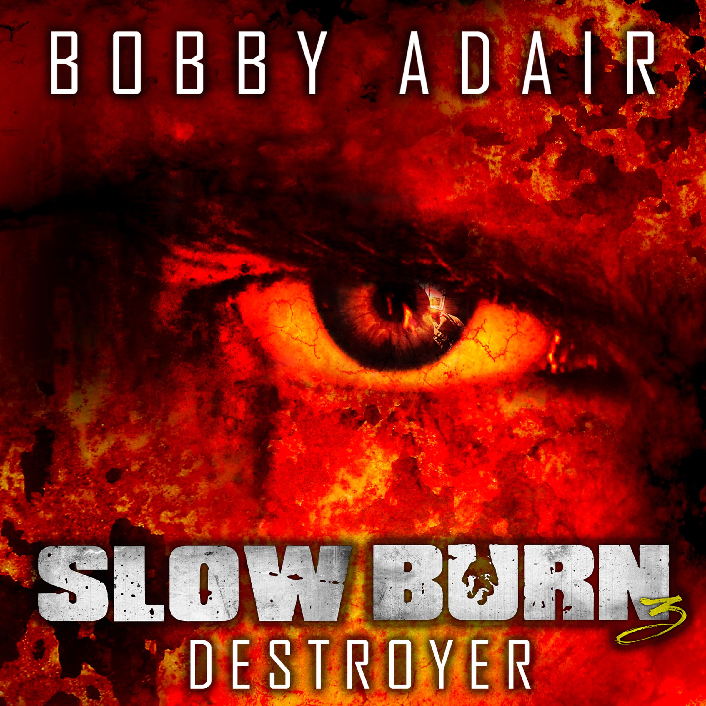 Cover art for Slow Burn: Destroyer, Book 3
