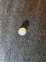 Vista 4 de Generic Morning Star Sparking Airgun Pellets (.25cal), gris