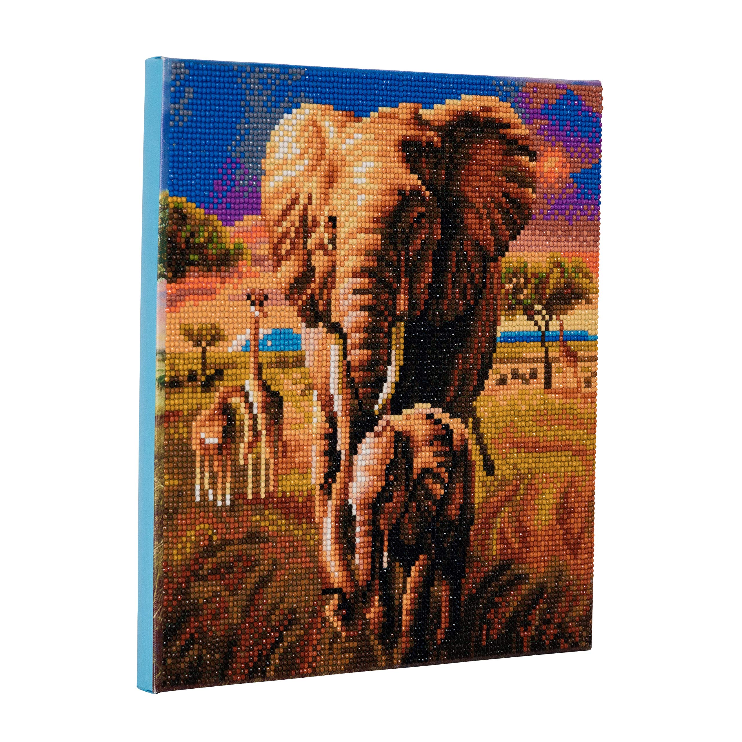 Craft Buddy Brand Name Crystal Art Elefante della Savana