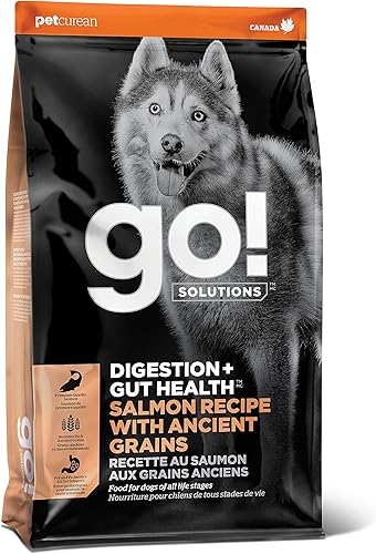 GO! SOLUTIONS Digestion + Gut Health Receta de salmón con granos antiguos para perros, bolsa de 12 libras, alimento seco para todas las etapas de la