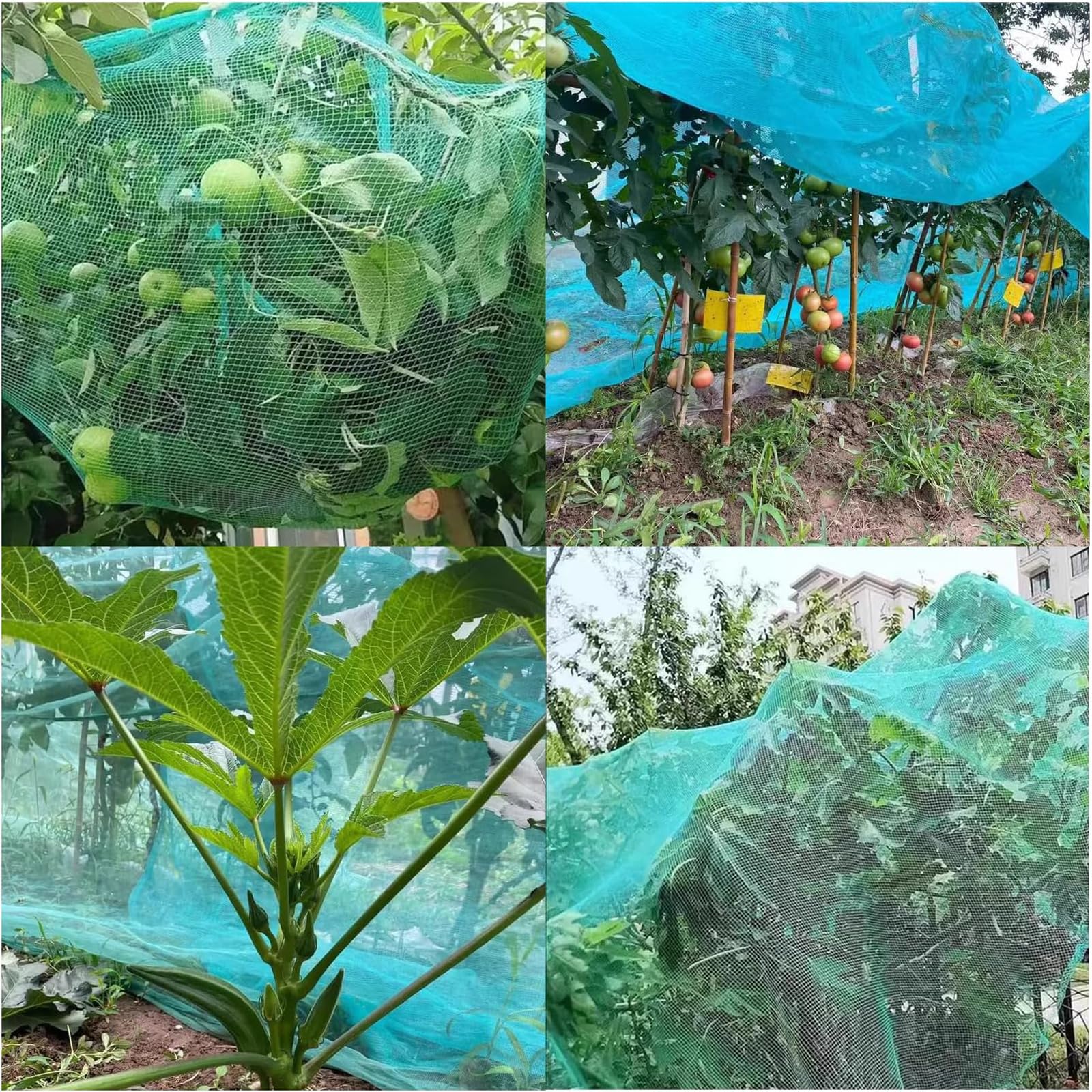 Rete Anti Uccelli,Rete di Insetti per Verdure,Rete antigrandine da Giardino,Rete di Protezione antigrandine ad Alta Resistenza,Riutilizzabile,per Verdure Orto Piante Fiori Frutta