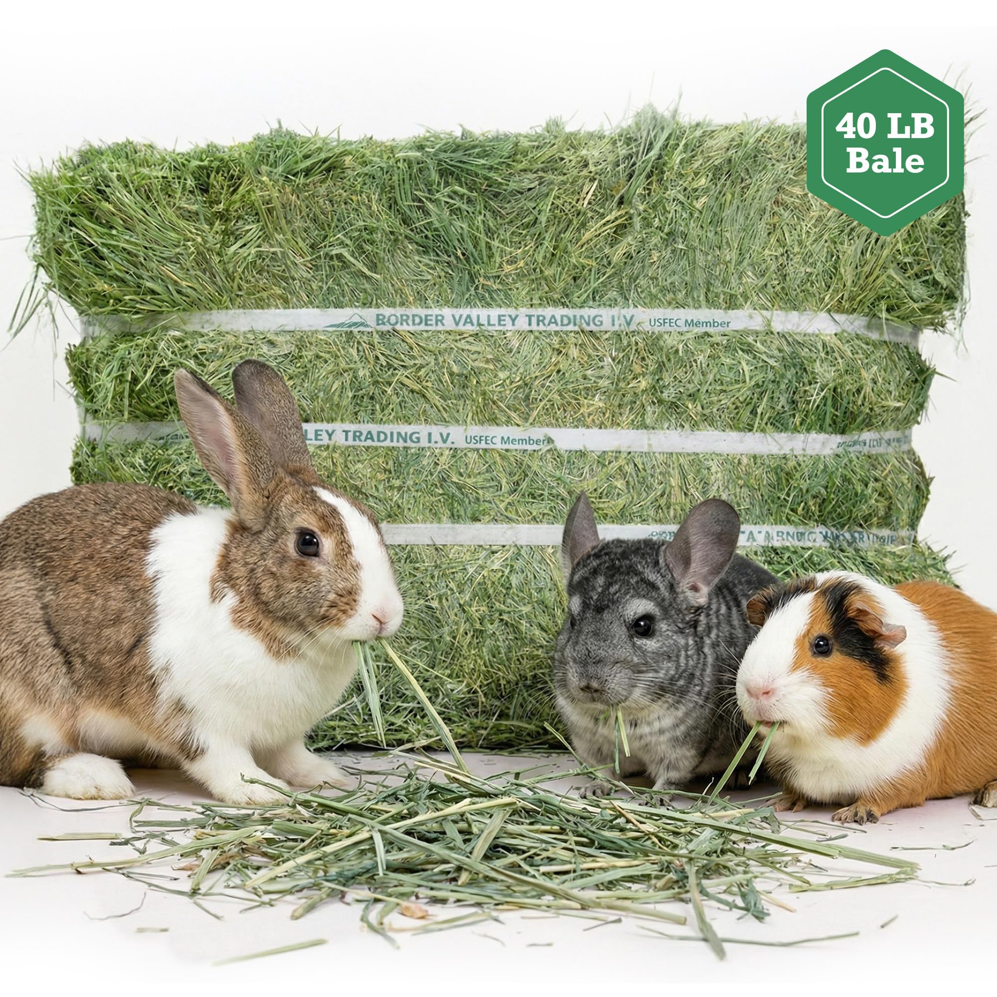 Border Valley Alfalfa Hay Bale in Bag, 40 lb - High Fiber Hay for Rabbits, Guinea Pigs, Chinchillas, Tortoises, Horses and Livestock - Protein-Rich Plant-Based Nutrition, Farm-to-Home Freshness - image 3