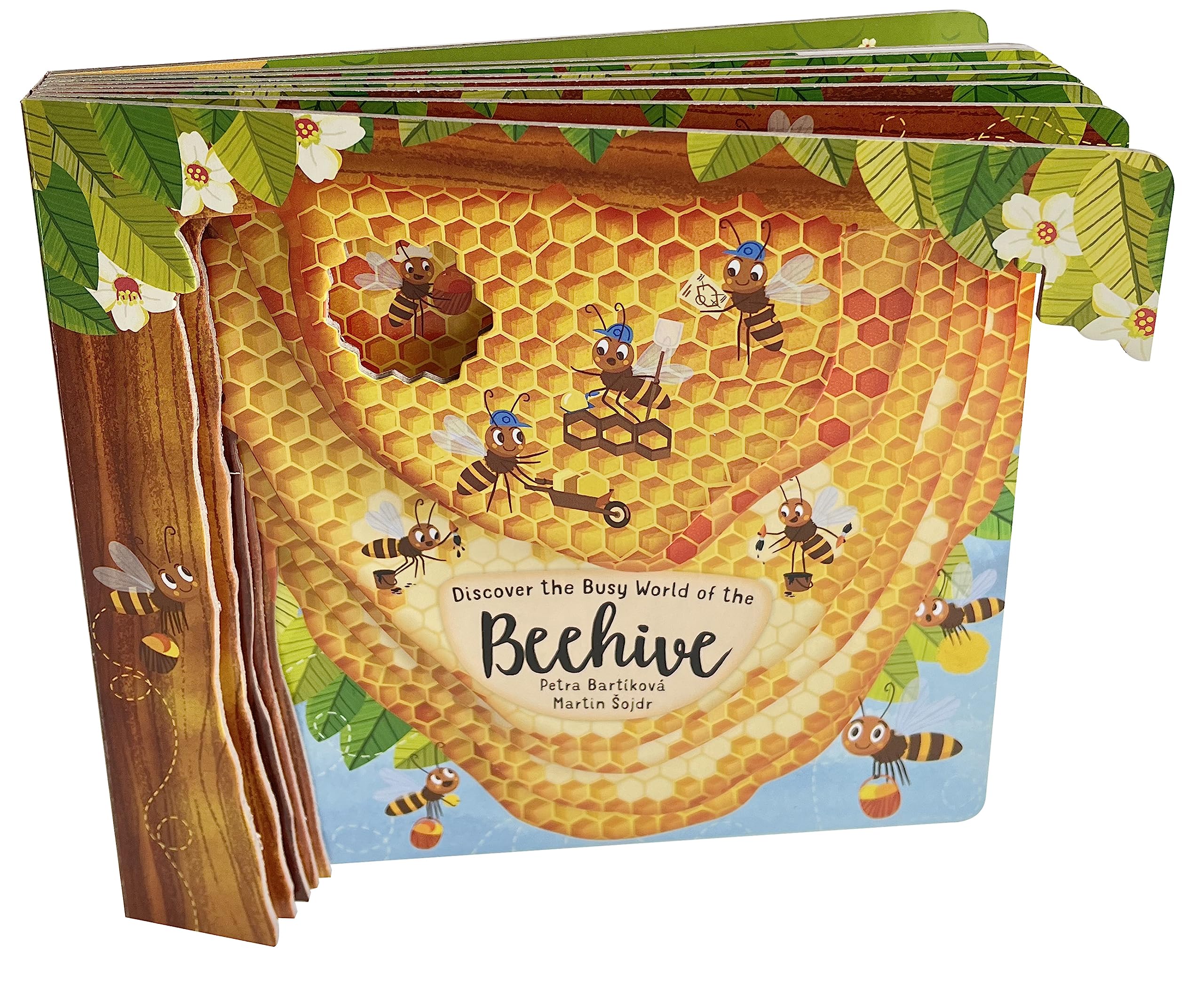Beehive (Peek Inside)