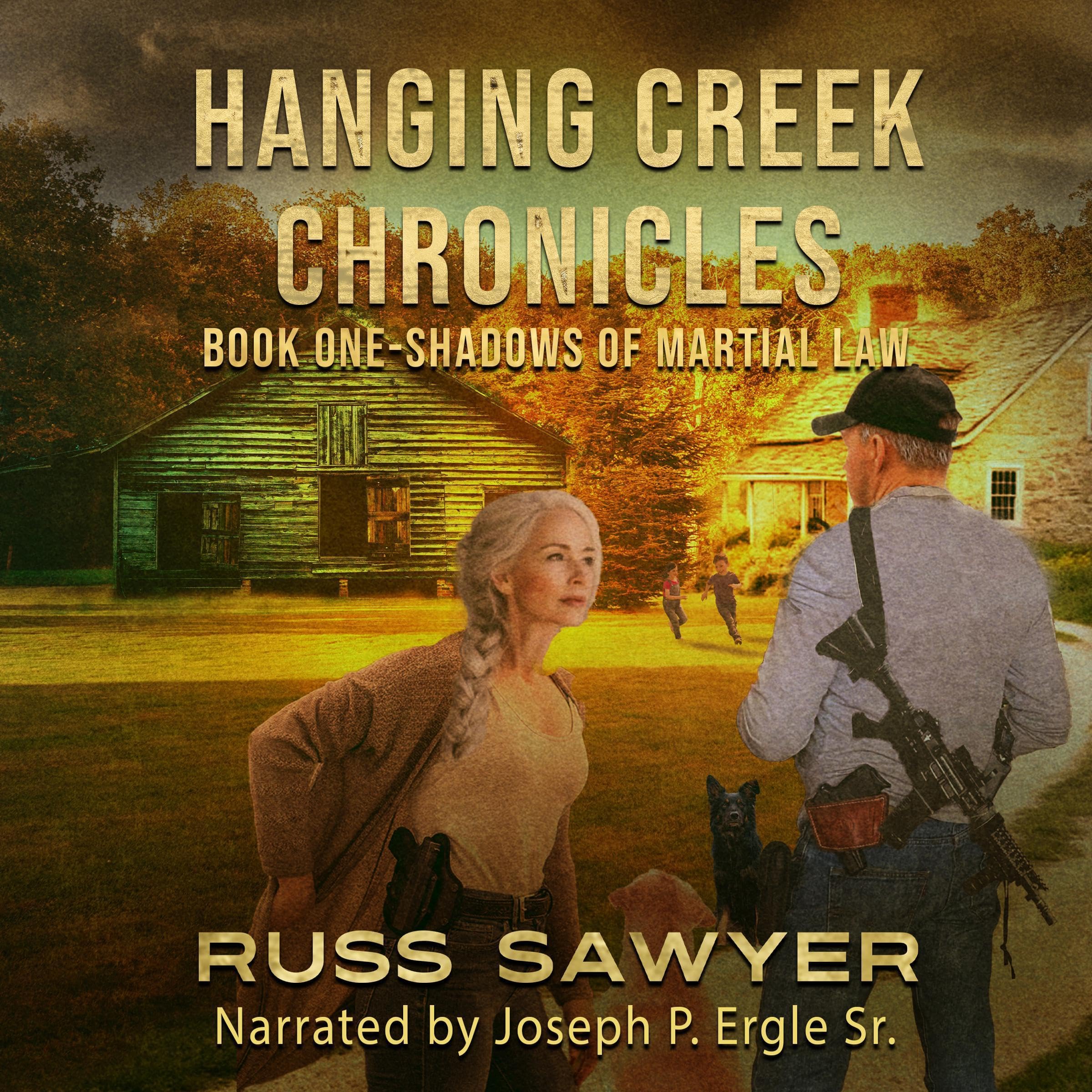 Cover art for The Hanging Creek Chronicles: Shadows of Martial Law