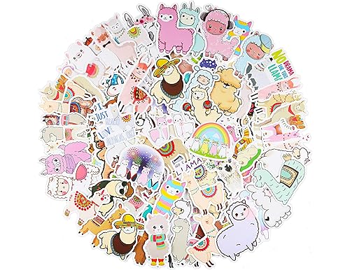 Best Llama Party Popcorn: Guide to Top Products in 2024