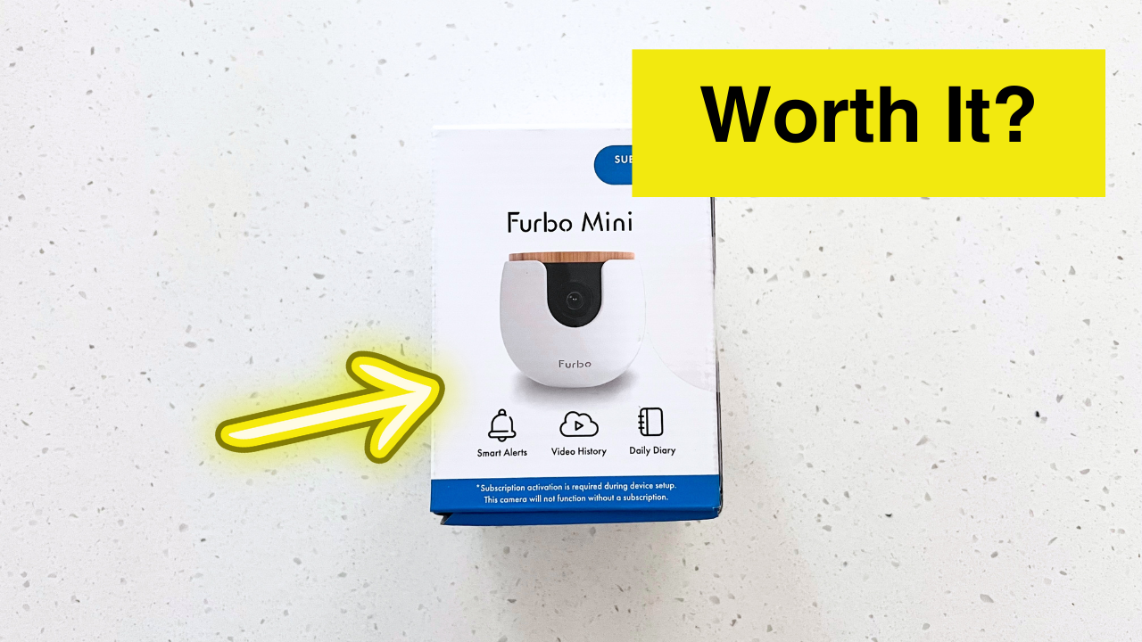 Is Furbo Worth It for Dogs?