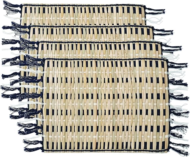 Creative Tops Set of 4 Napier Grasscloth Placemats, CTPMNAPPK4, Assorted, One Size