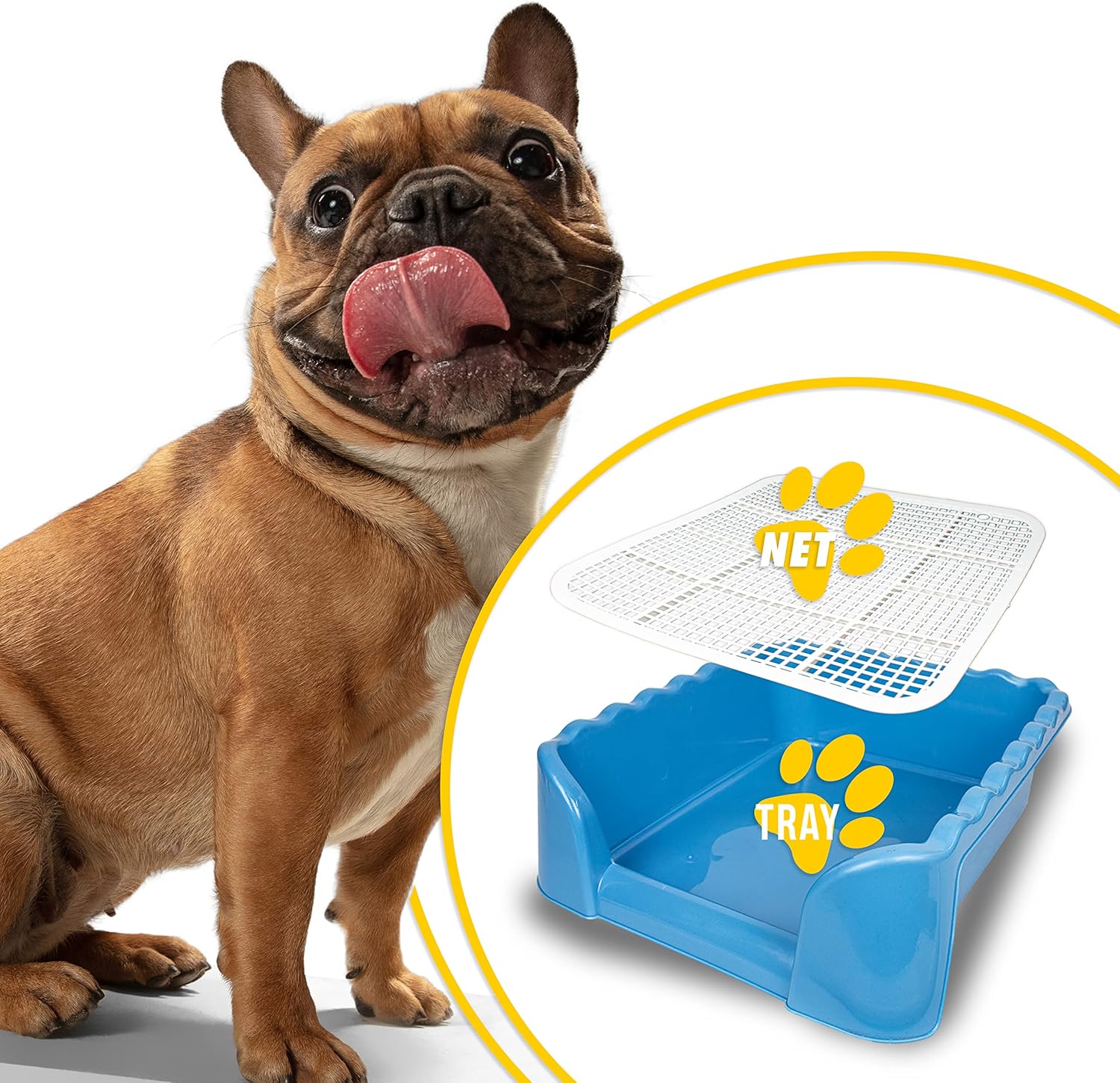 Lutema Indoor/Outdoor Training Dog Potty Tray for Small and Medium Puppies Litter Boxes in (Blue)