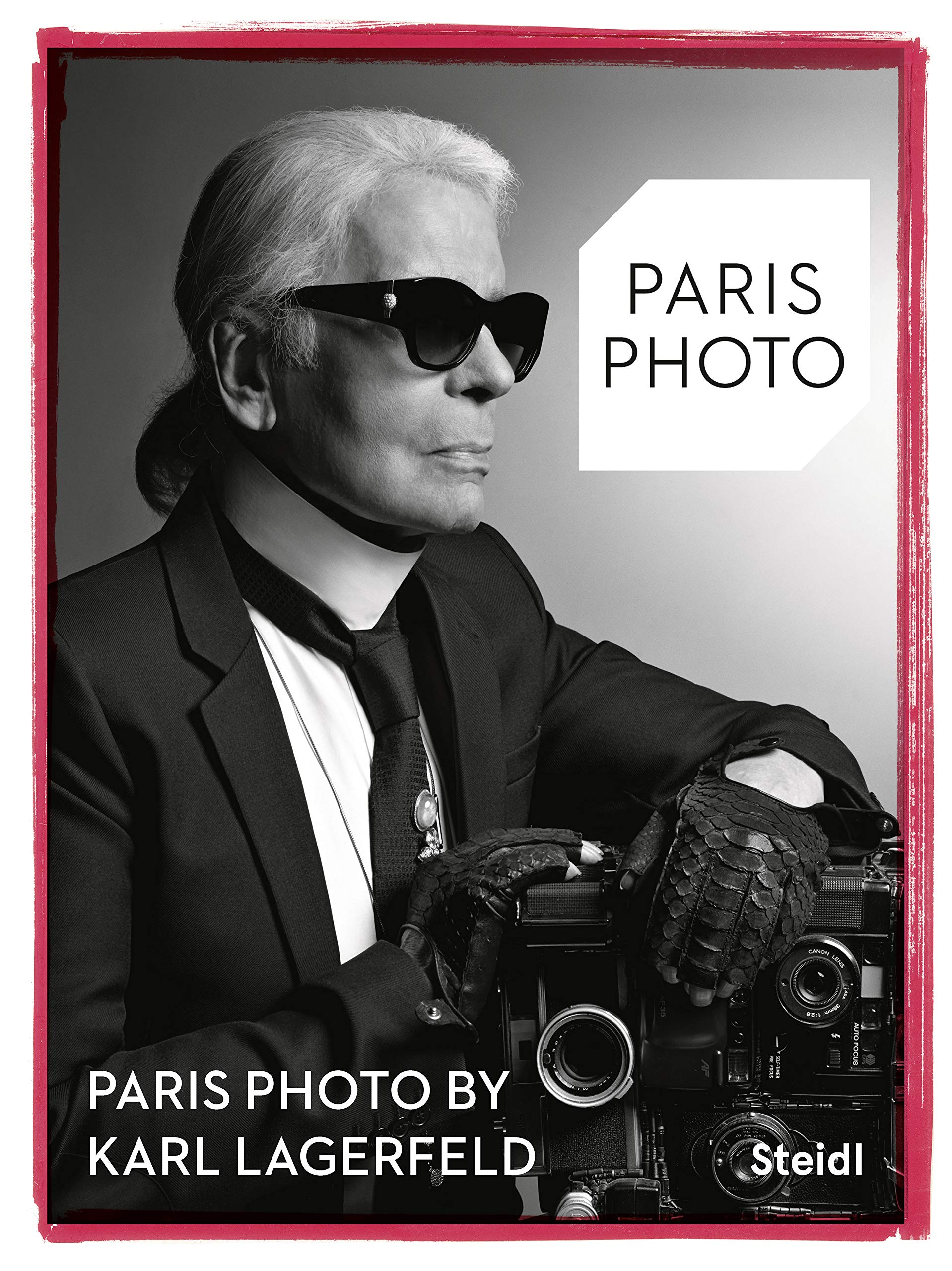 カール・ラガーフェルド: a portrait of Dorian Gray A Portrait of Dorian Gray. Photographs by Karl Lagerfeld. 3