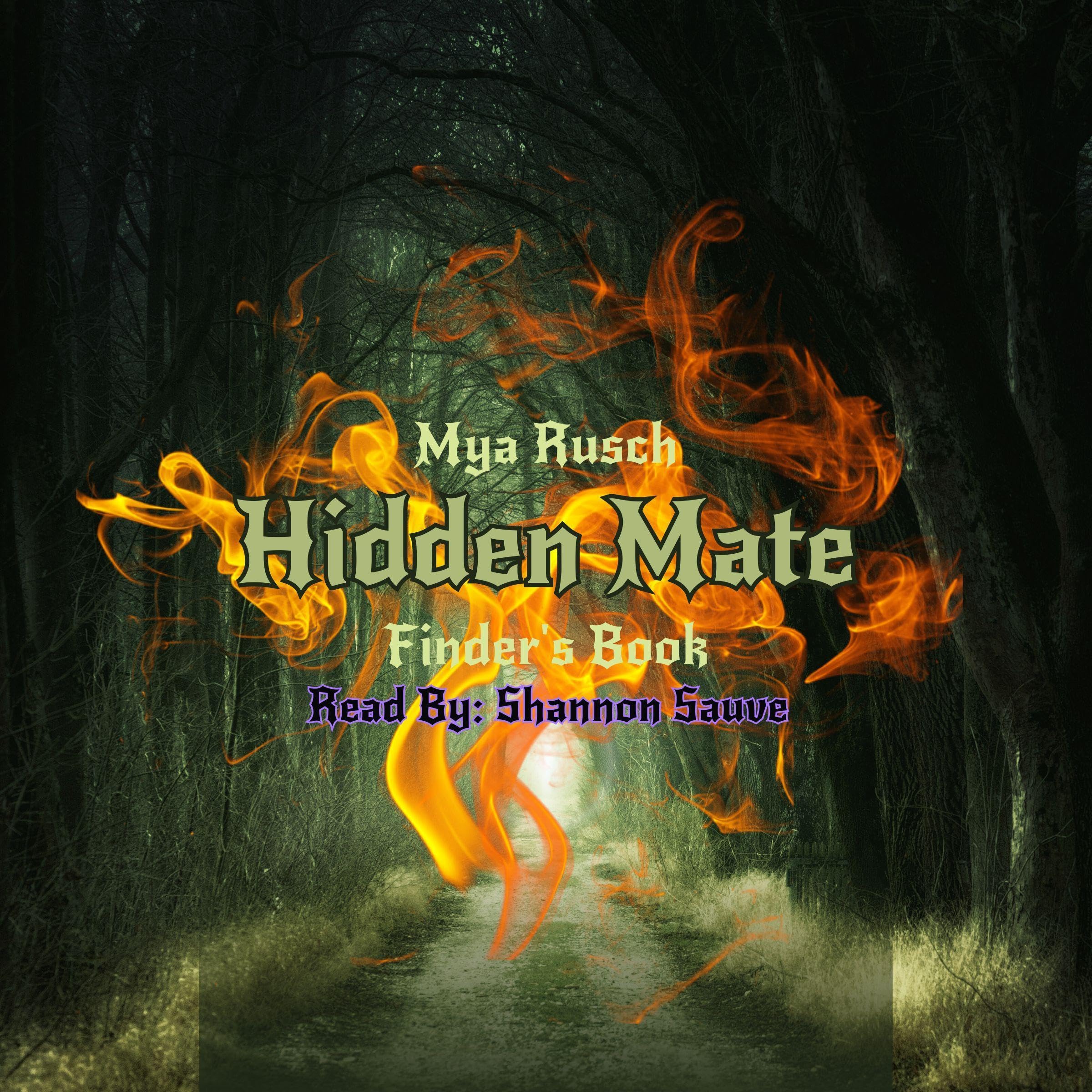 Cover art for Hidden Mate