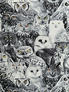 Fat Quarter (18 x 22) Wicked Owls Yellow Eyes OWL Spooky WHTE Gray Cotton Fabric FQ