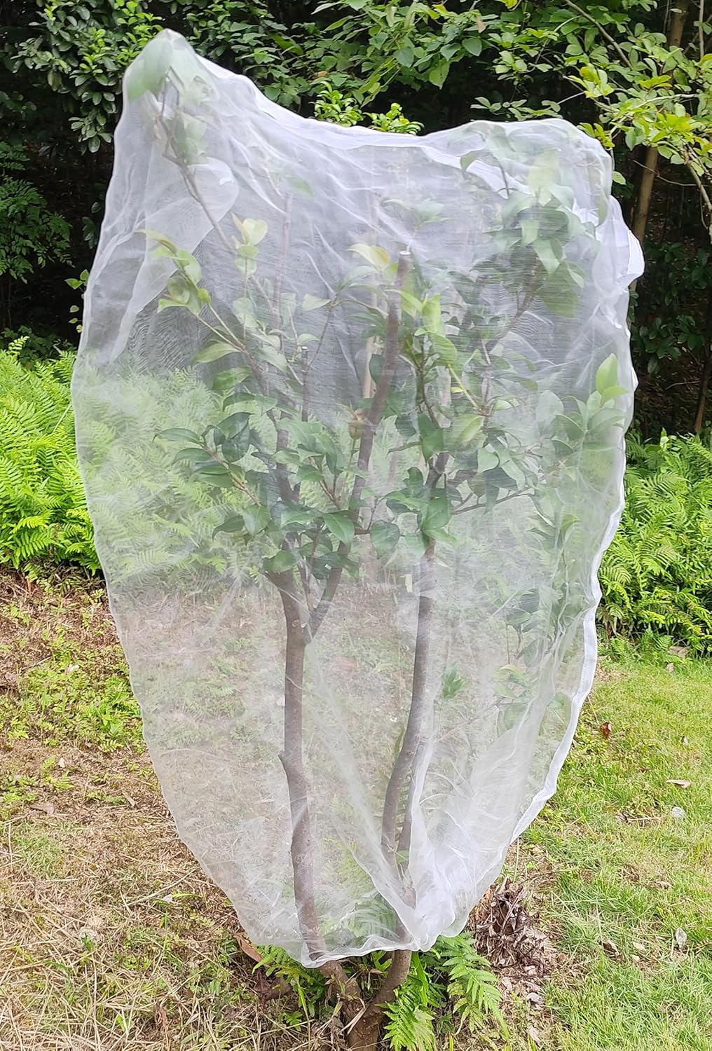 Amazon.com : Garden Netting,6 Pack 2 Size Plant Fruit Protection Bags ...