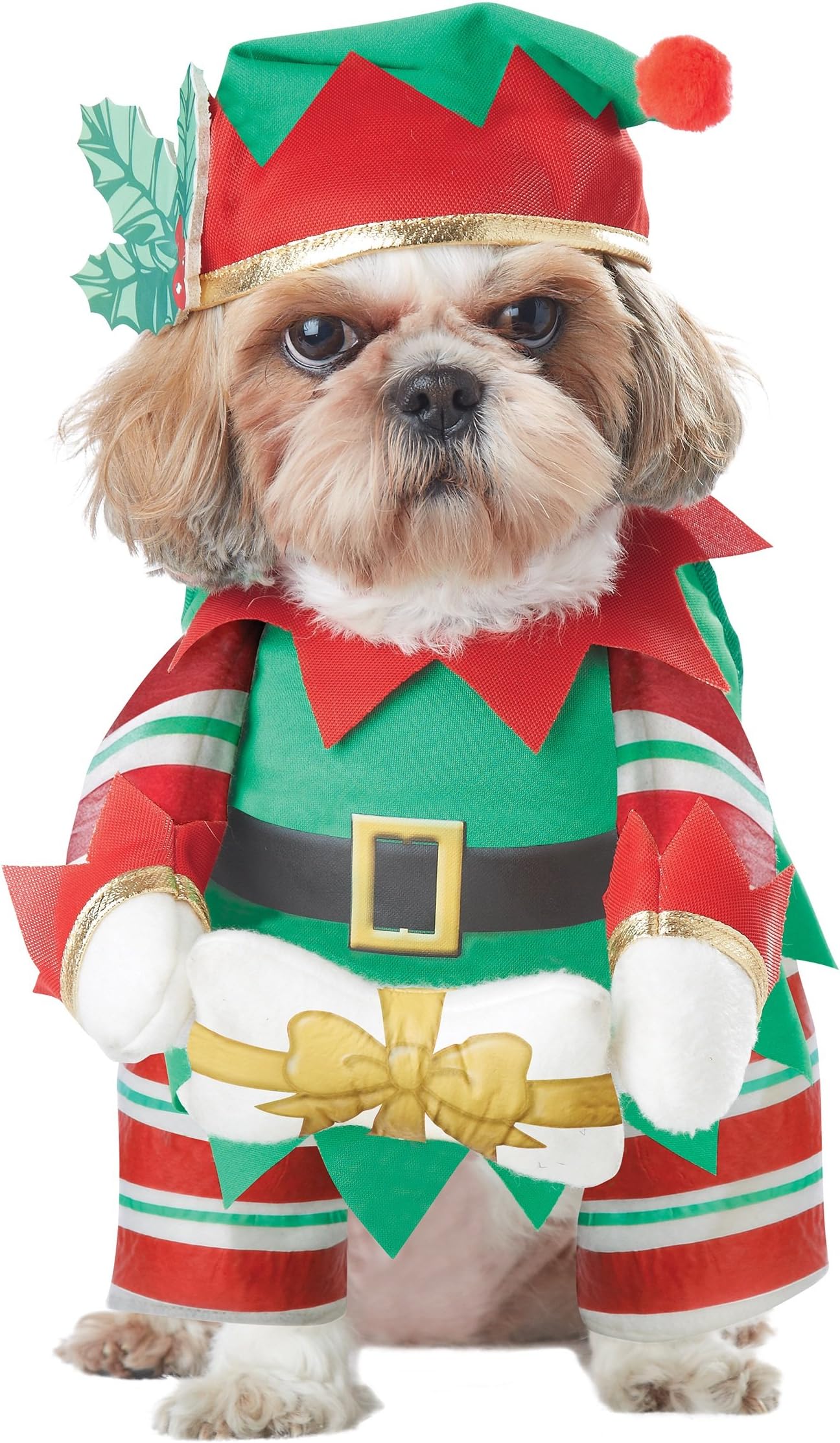California Costume Collections Pet ELF PUP Dog Costumes, Green/Red, Small US