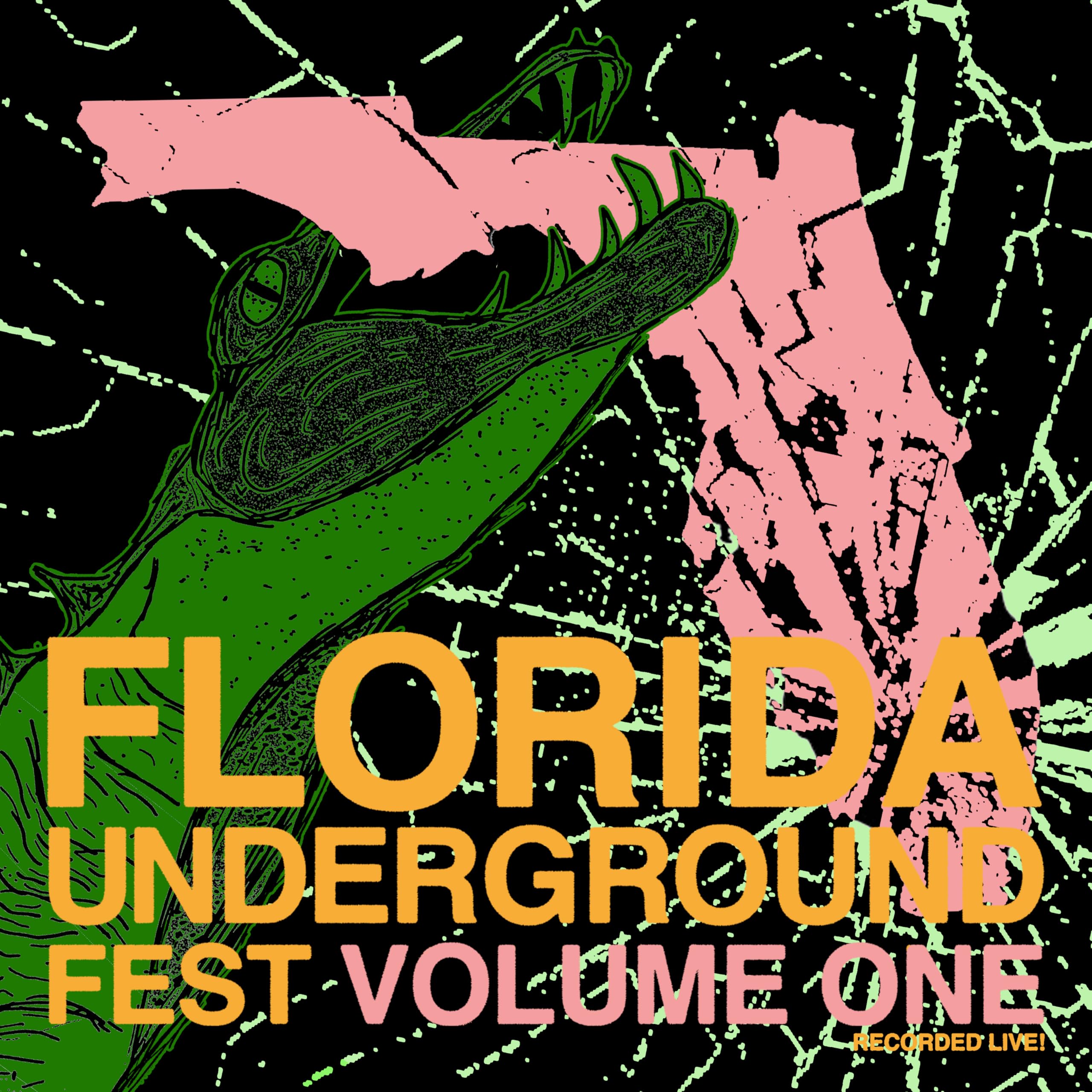 FLORIDA UNDERGROUND FEST VOL. 1 [VINYL]