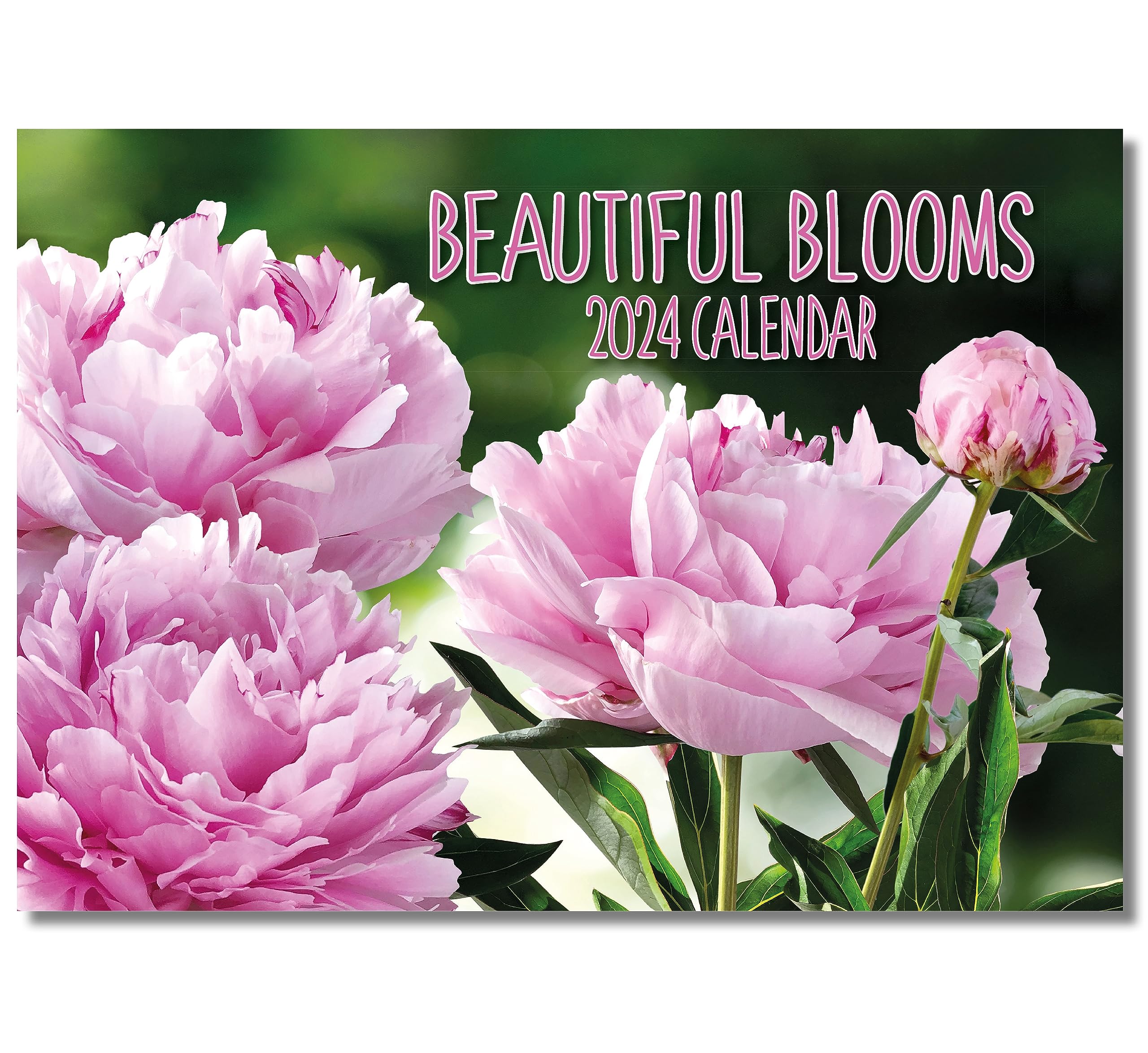 Buy A4 Beautiful Blooms 2024. One Month to View. UK, Scotland, RoI & N  Ireland Bank Holidays. Wall by Absolutely Yours. Online at desertcartIreland