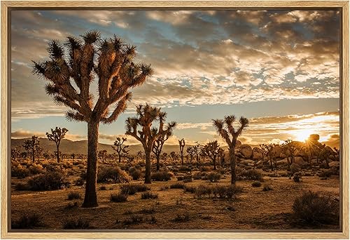 Vista 105 de SIGNFORD Lienzo enmarcado para pared, tren de montaña de otoño, vías de ferrocarril, naturaleza, desierto, fotografía, realismo, paisaje decorativo