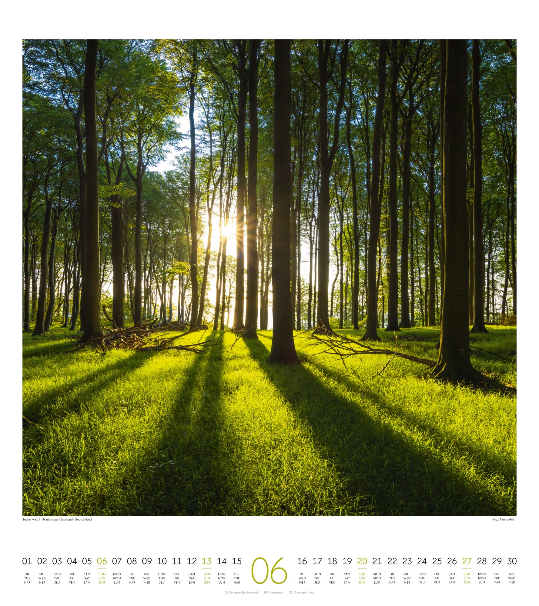 Lichtblicke Kalender 2027 | Stimmungsvoller Natur-Kalender im großen Hochformat (48x54 cm) | Landschaften im Licht der Sonne