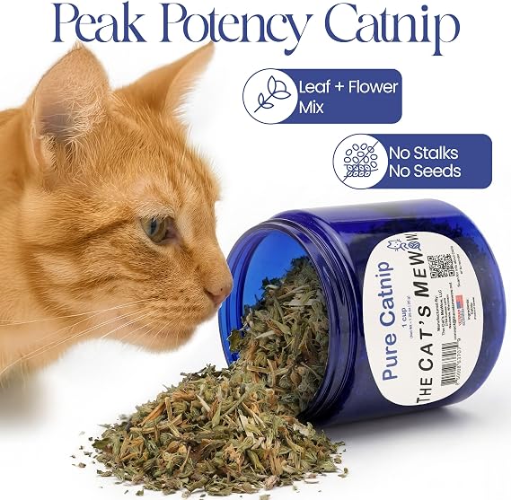 The Cat's MeWow 100% Pure Catnip North American Grown Strong Aroma for Play & Enrichment Resealable Freshness Jar Veteran-Owned Brand