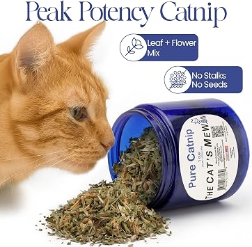 The Cat's MeWow 100% Pure Catnip North American Grown Strong Aroma for Play & Enrichment Resealable Freshness Jar Veteran-Owned Brand