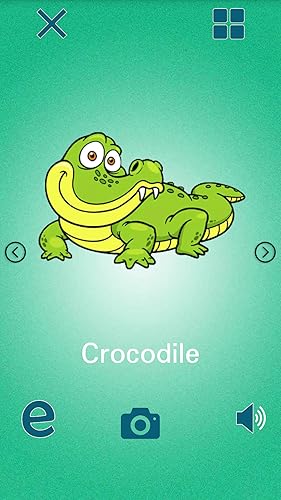 Learning animals sound / picture