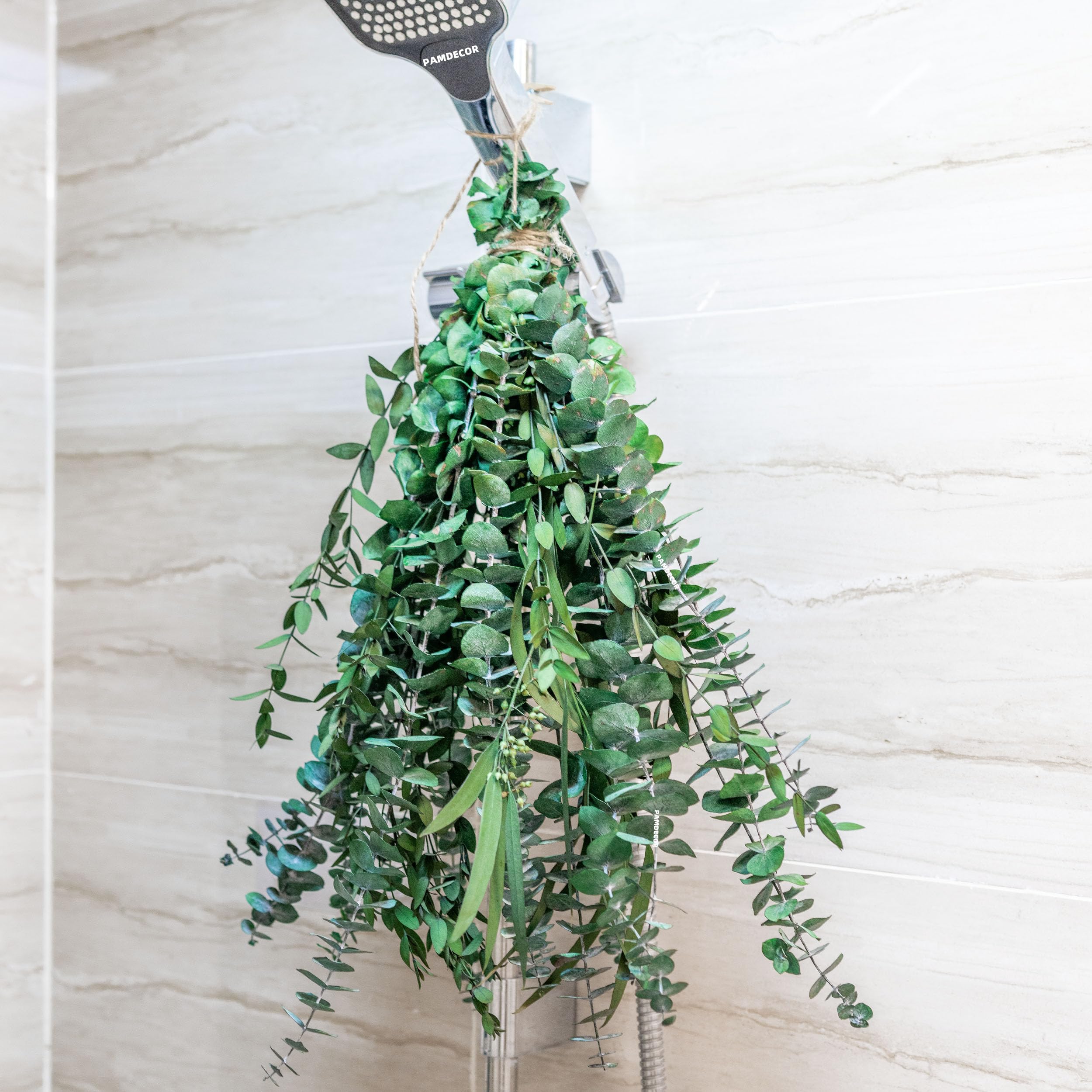 FloraDream 3kinds Natural Eucalyptus Stems 12PCS - dried and preserved flora | Mubboo