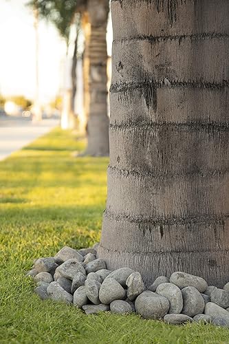 Vista 26 de MSI Guijarros multicolor pulidos decorativos, 1.2 pulgadas - 2 pulgadas, bolsa de 40 libras