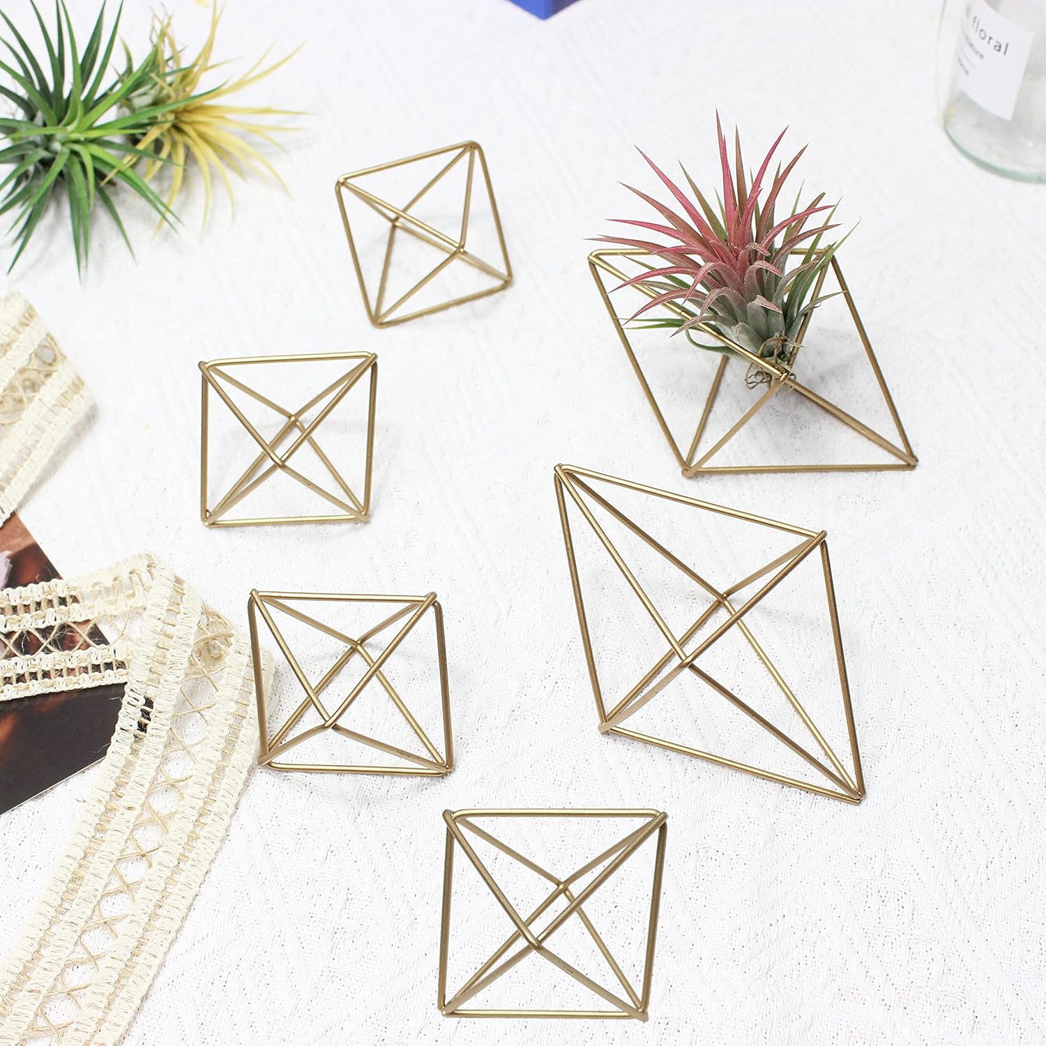 libproqia Gold Air Plants Holders Small Hanging Airplants Plant Hangers