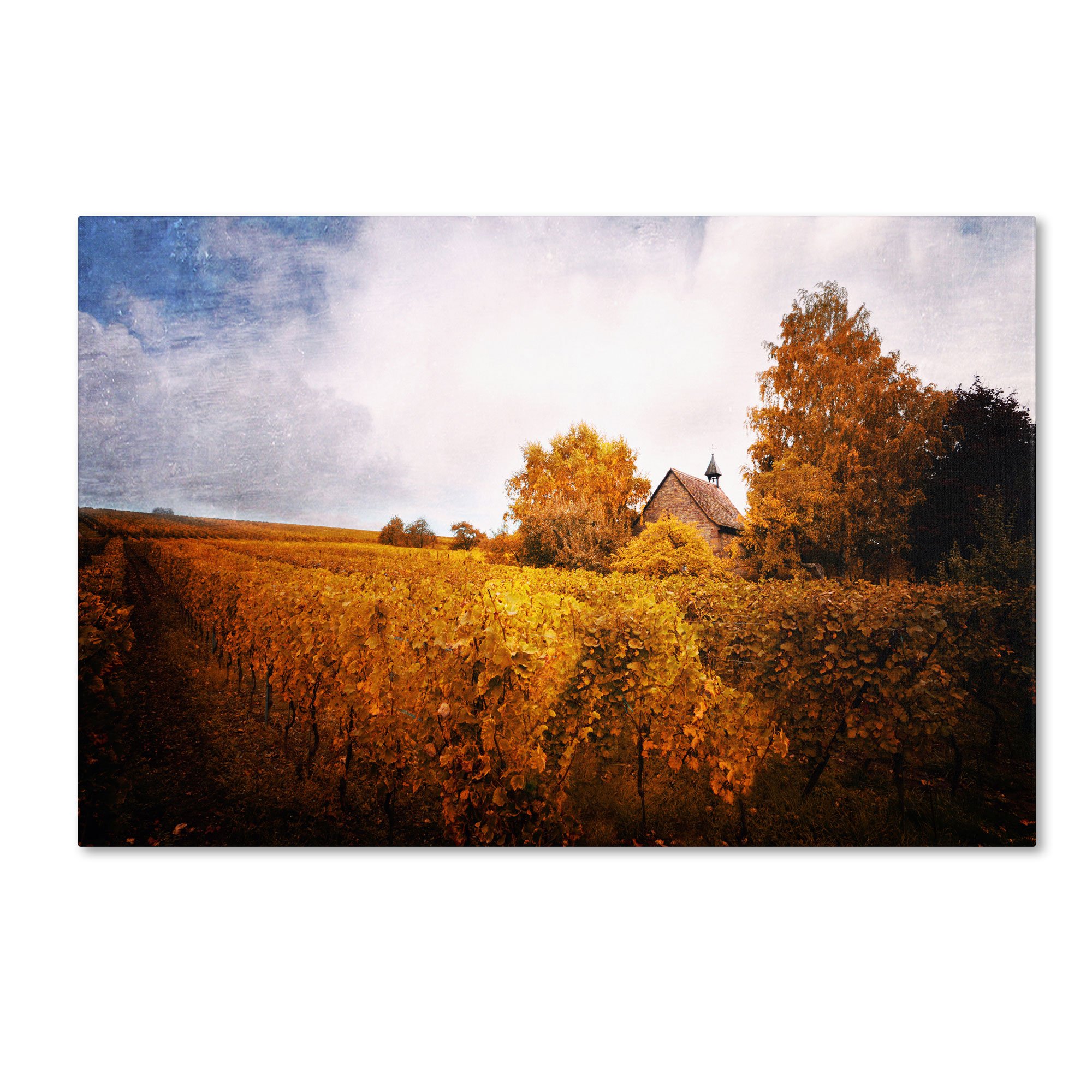 Light in Vineyards Artwork by Philippe Sainte-Laudy, 22 by 32-Inch Canvas Wall Art