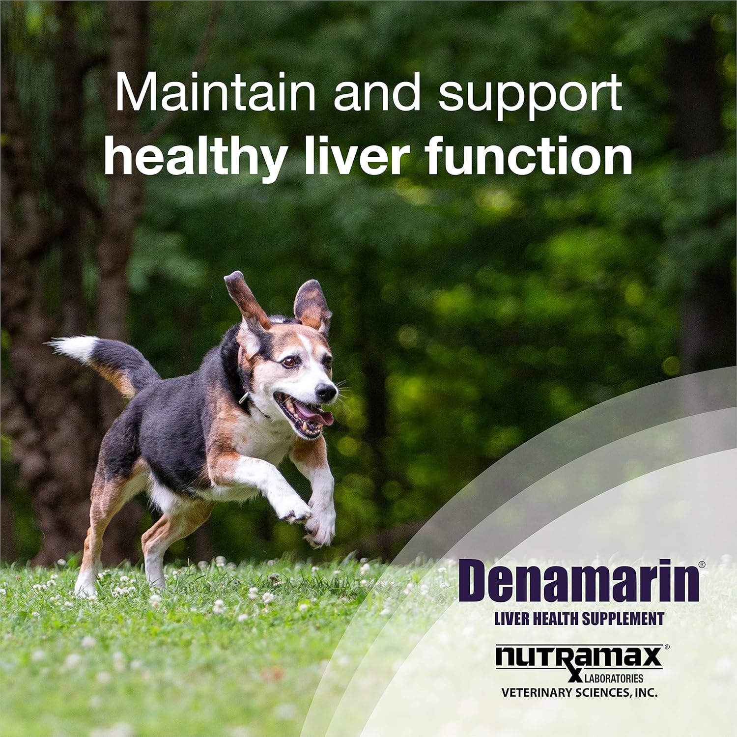 Nutramax Denamarin Liver Health Supplement for Medium Dogs - With S-Adenosylmethionine (SAMe) and Silybin, 30 Tablets : Pet Bone And Joint Supplements : Pet Supplies