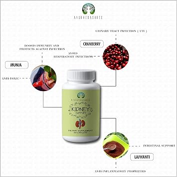 AYURVEDASHREE Kidney Support Herbal Supplement - Supports Healthy Kidney Function, Vegan, Gluten-Free - Each Caplet of 1000 MG