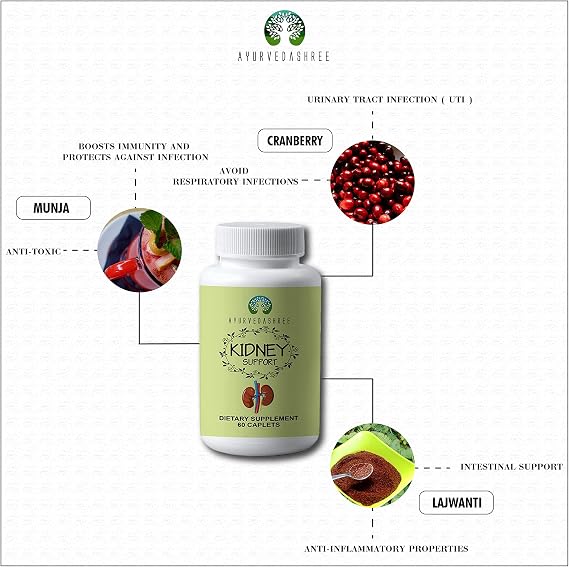 AYURVEDASHREE Kidney Support Herbal Supplement - Supports Healthy Kidney Function, Vegan, Gluten-Free - Each Caplet of 1000 MG