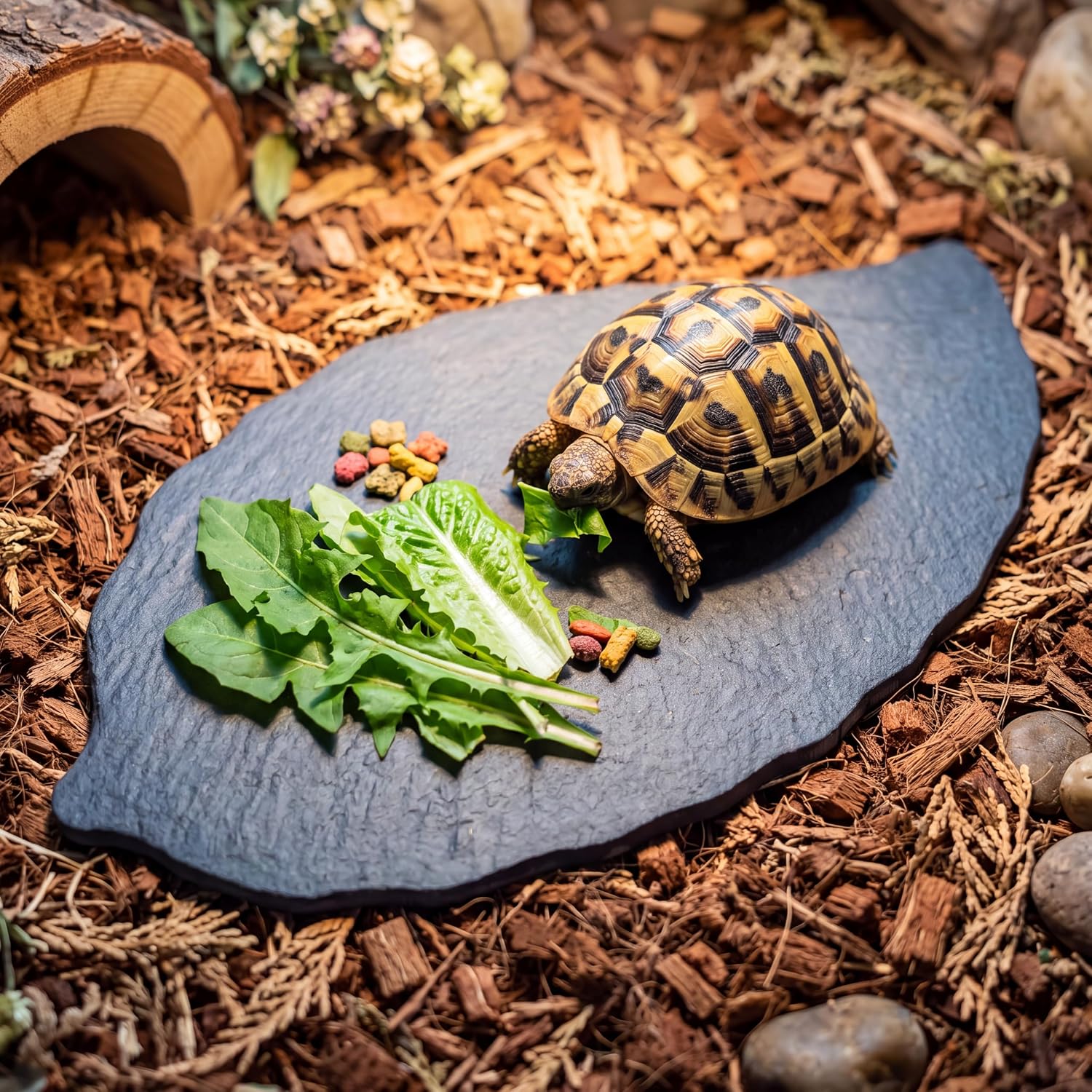 11x5.5'' Slate Reptile Platform, Bathing Resting Feeding Rock