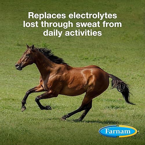 Miniatura 16 de Farnam Suplemento de electrolitos en polvo Apple Elite para caballos, reemplaza minerales vitales, fomenta la hidratación, sin azúcar añadida, 5