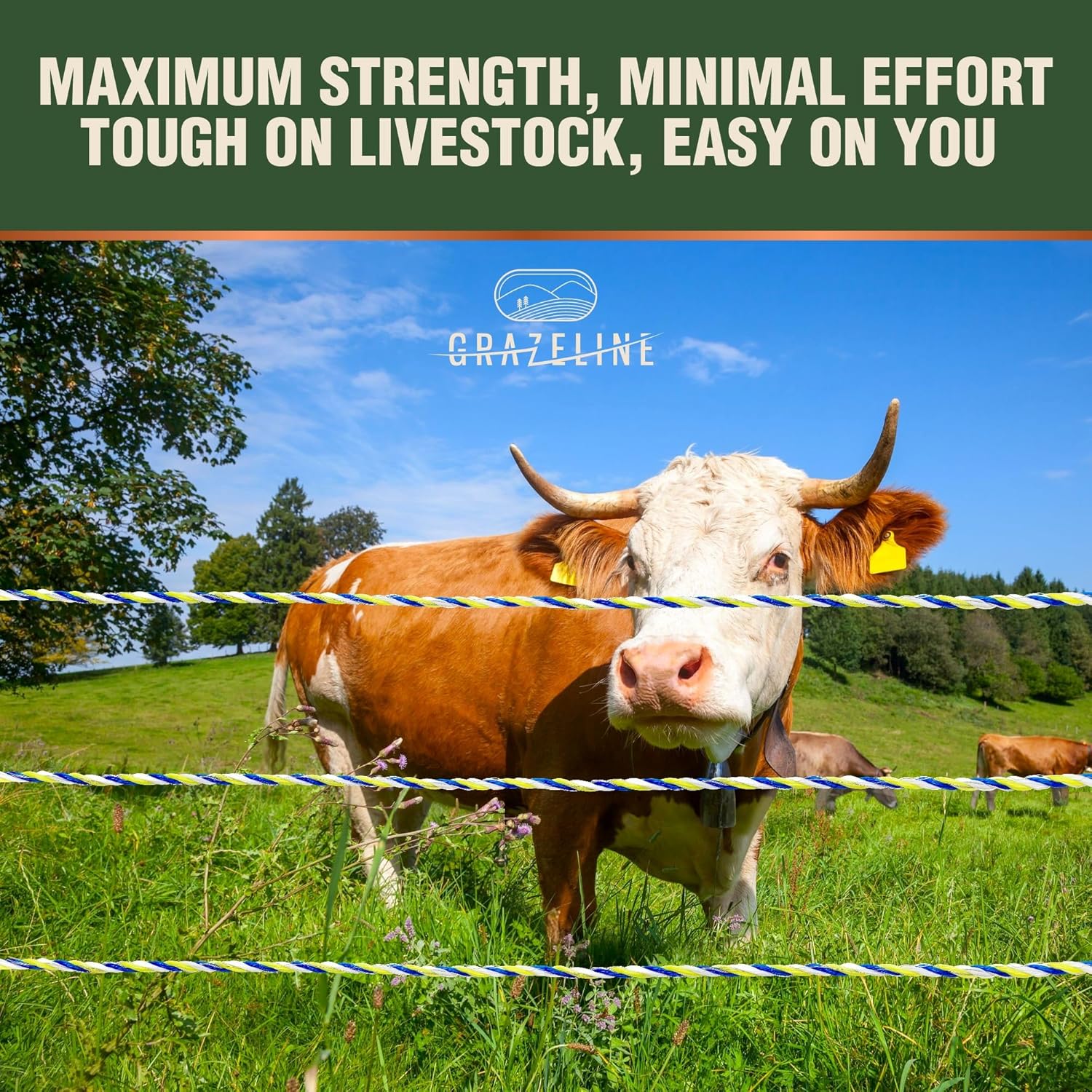 9-Strand Electric Fence Polywire 3280 ft, Tinned Copper & Stainless Steel, 0.3 Ohm Low Resistance Hot Wire for Rotational Grazing & Pasture Electric Fencing for Horses, Cattle & Livestock